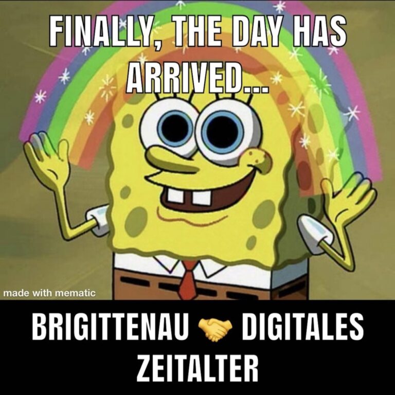 Bezirksvertretung im Live-Stream