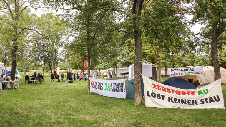 #LobauBleibt: Keine Autobahn, keine Stadtstraße, kein Tunnel!