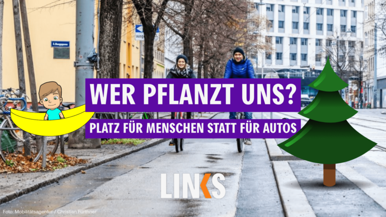 AVISO Sonntag 14 Uhr: Wer pflanzt uns? Aktion Am Tabor