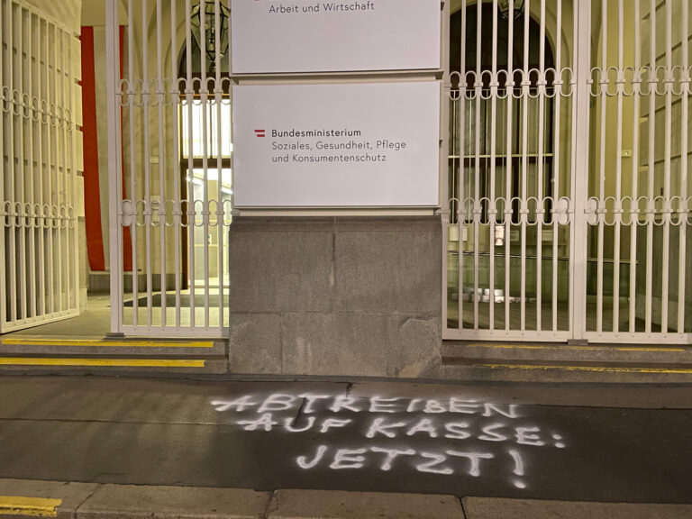 Partei LINKS: Sprayaktion vor Abtreibungsgegner*innen in Wien