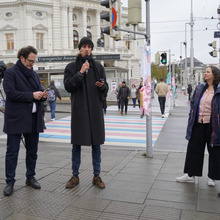 Erfolg! Trans-Zebrastreifen in Neubau