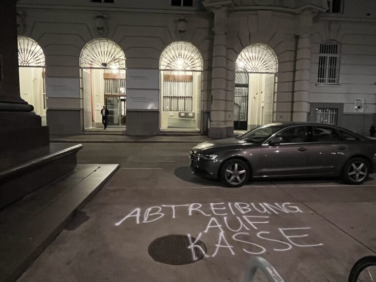 Nächtliche Sprayaktion in Wien gegen Abtreibungs-Gesetz