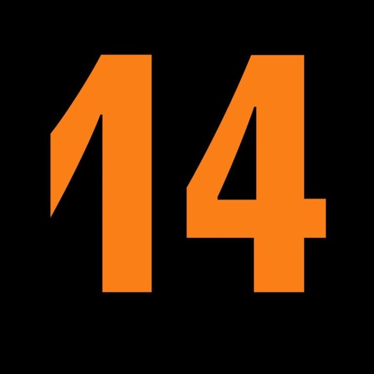 14. Femizid 2024