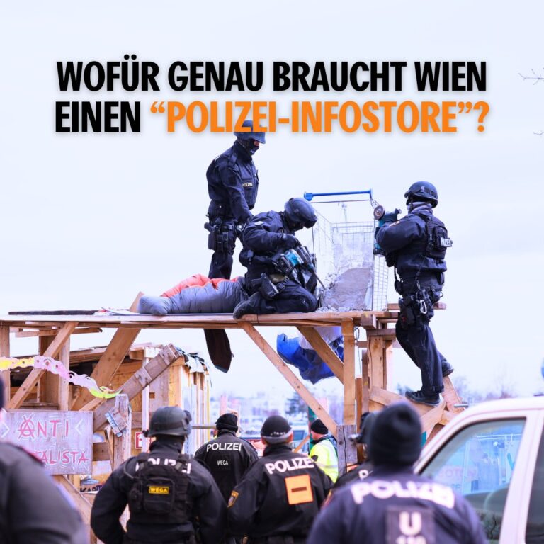 Wer braucht eine Polizei-Infostore?