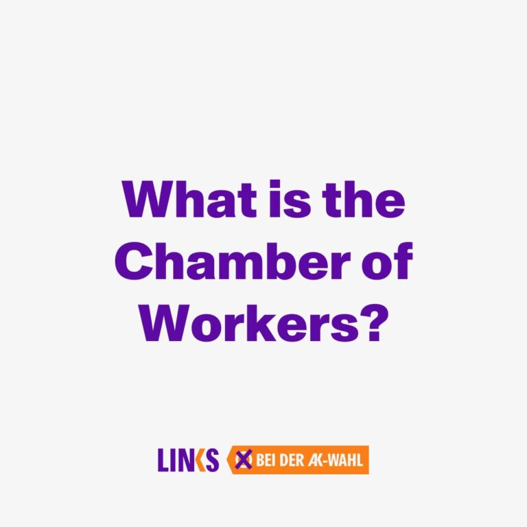 WHAT IS THE CHAMBER OF WORKERS ACTUALLY?