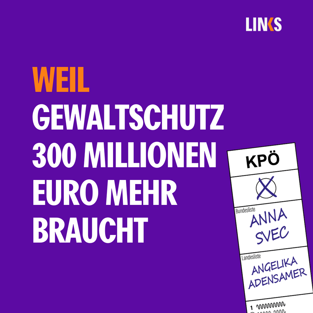 WEIL Gewaltschutz 300 Millionen Euro mehr braucht!